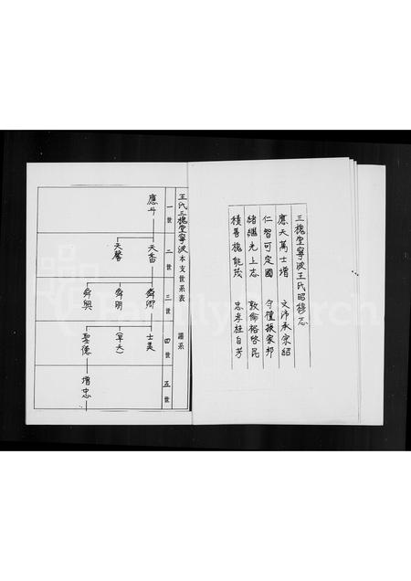 4581.三槐王氏族谱.pdf电子版预览图5