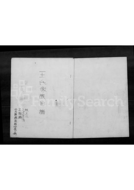 4591.王氏家族祖谱.pdf电子版预览图2