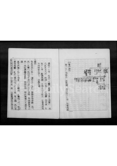 4591.王氏家族祖谱.pdf电子版预览图4