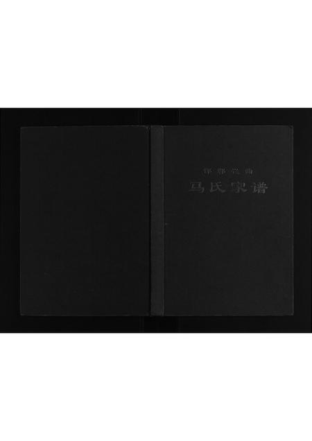 河北马氏-马氏家谱[不分卷].pdf电子版缩略图