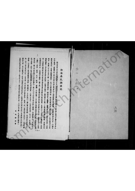 4630.吴氏家谱 ： 先祺公分支世系.pdf电子版预览图2