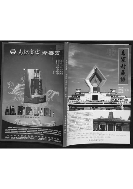 陜西马氏-马家村族谱.pdf电子版缩略图