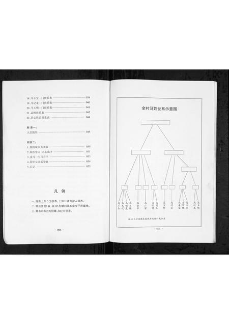 山西马氏孟氏-[马氏] [孟氏] 后王堤村姓氏族谱汇编 [1册](别名：Hou Wang Ti Cun Xing Shi Zu Pu Hui Bian).pdf电子版预览图5