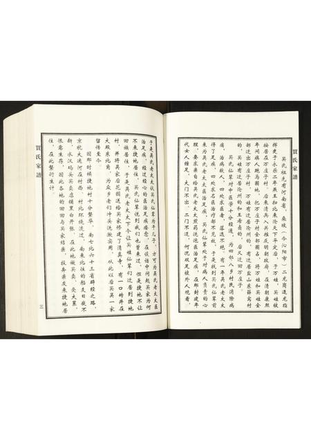 河北买氏-买氏家谱.pdf电子版预览图4