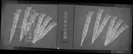 广西麦氏-麦氏铁枝公宗谱.pdf电子版缩略图
