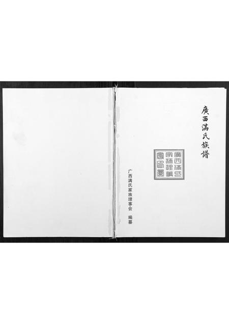 广西满氏-广西满氏族谱.pdf电子版缩略图