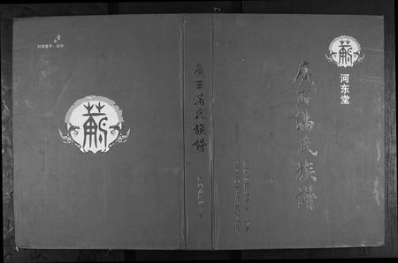 广西满氏-广西省满氏族谱.pdf电子版