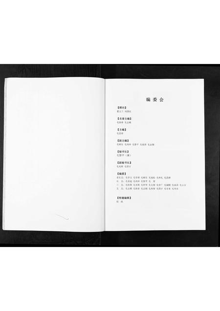 山东毛氏-东莱崇儒毛氏族谱[不分卷].pdf电子版预览图2