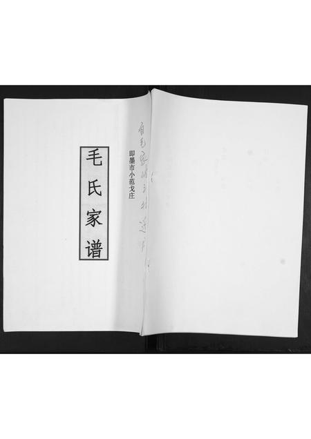 山东毛氏-毛氏家谱[不分卷].pdf电子版缩略图