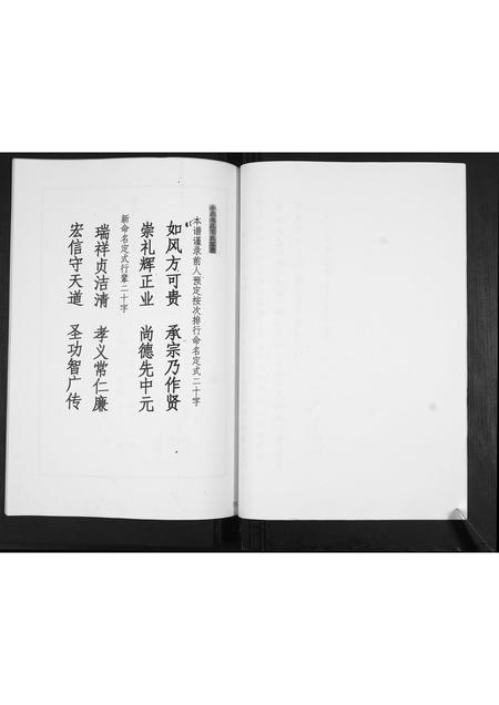 山东毛氏-毛氏家谱[不分卷].pdf电子版预览图5