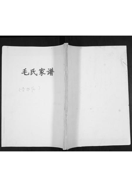 山东毛氏-毛氏家谱[不分卷].pdf电子版缩略图