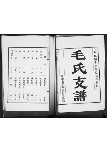 山东毛氏-毛氏支谱[不分卷].pdf电子版预览图1