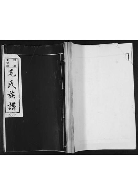 山东毛氏-毛氏族谱[不分卷].pdf电子版缩略图