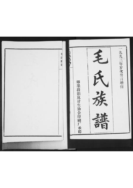 山东毛氏-毛氏族谱[不分卷].pdf电子版预览图1