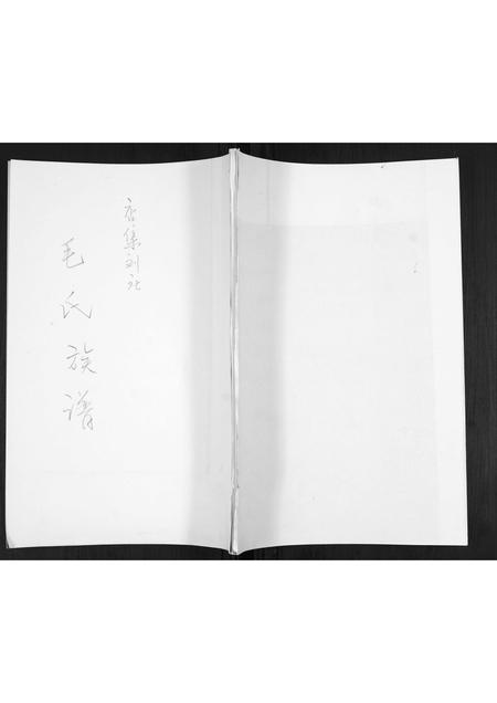 山东毛氏-毛氏族谱[不分卷].pdf电子版缩略图