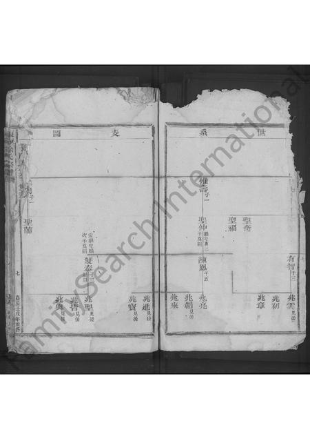 4677.东海徐氏宗谱 [不分卷].pdf电子版预览图3