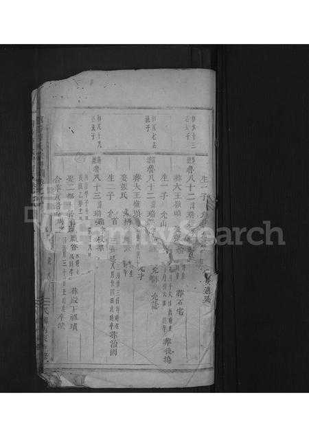 4714.浦阳薛氏宗谱 [8卷].pdf电子版缩略图