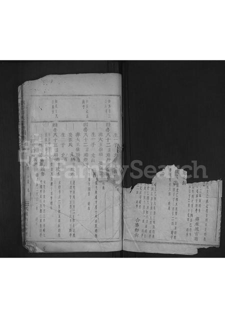 4714.浦阳薛氏宗谱 [8卷].pdf电子版预览图1