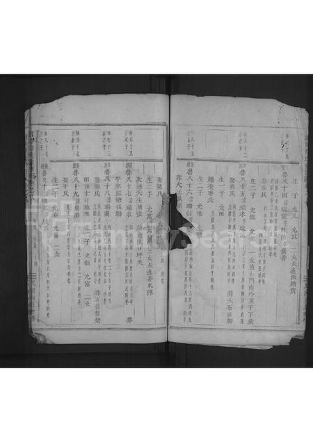 4714.浦阳薛氏宗谱 [8卷].pdf电子版预览图5
