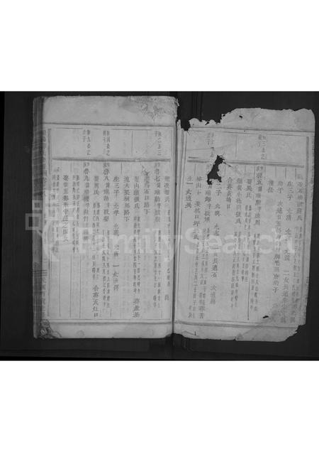 4715.浦阳薛氏宗谱 [8卷].pdf电子版预览图1