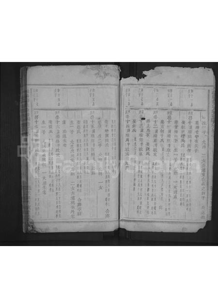 4715.浦阳薛氏宗谱 [8卷].pdf电子版预览图2