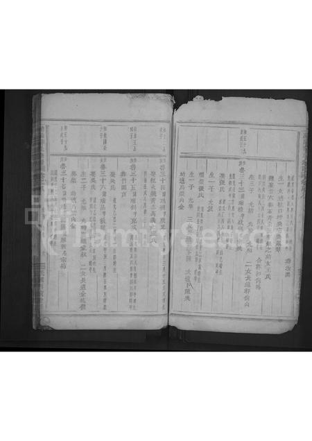 4715.浦阳薛氏宗谱 [8卷].pdf电子版预览图5