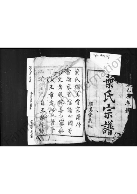 4760.叶氏宗谱 [10卷].pdf电子版预览图1