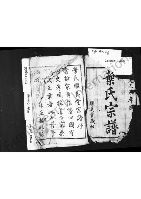 4760.叶氏宗谱 [10卷].pdf电子版预览图2