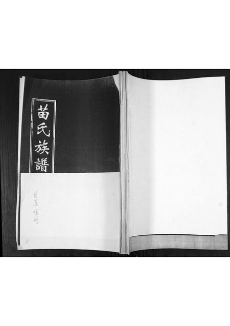 山东苗氏-苗氏族谱.pdf电子版缩略图