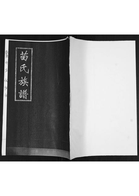 山东苗氏-青岛苗氏宗谱.pdf电子版缩略图