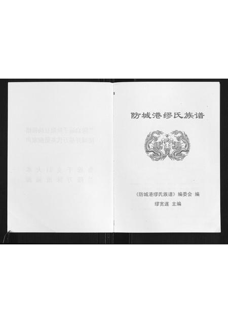广西缪氏-防城港缪氏族谱.pdf电子版预览图2