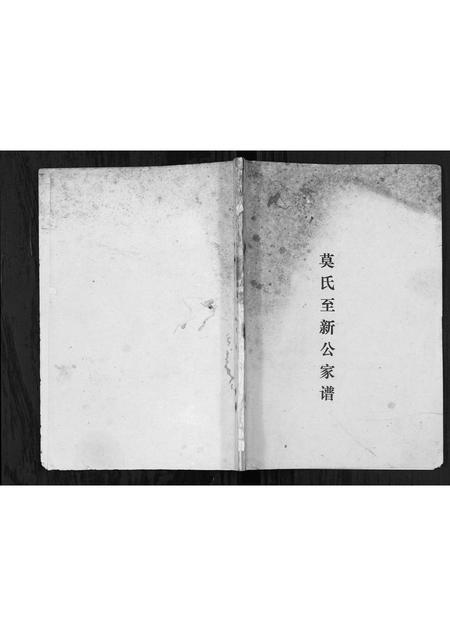 广西莫氏-莫氏至新公家谱[不分卷].pdf电子版缩略图