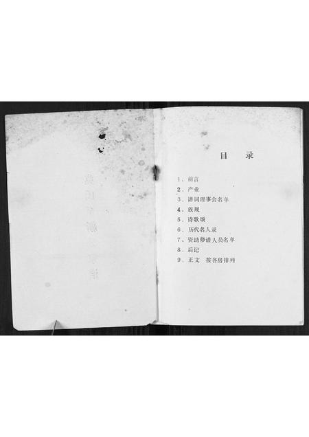 广西莫氏-莫氏至新公家谱[不分卷].pdf电子版预览图1