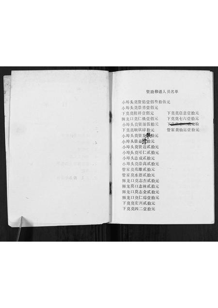 广西莫氏-莫氏至新公家谱[不分卷].pdf电子版预览图2