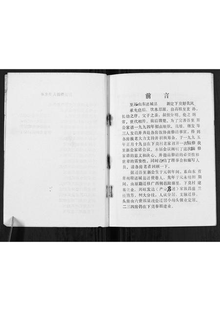 广西莫氏-莫氏至新公家谱[不分卷].pdf电子版预览图3