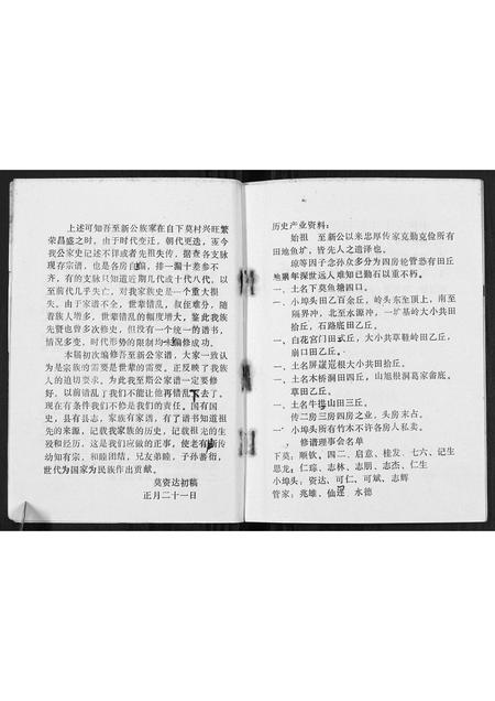 广西莫氏-莫氏至新公家谱[不分卷].pdf电子版预览图4