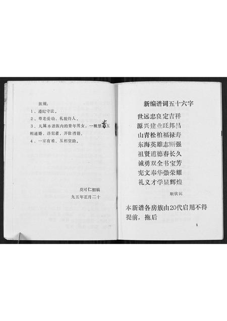广西莫氏-莫氏至新公家谱[不分卷].pdf电子版预览图5