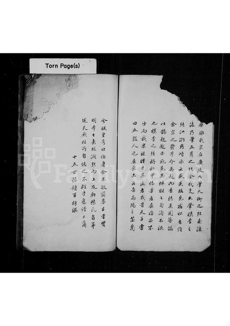 4802.江浙张氏家乘述余.pdf电子版预览图4