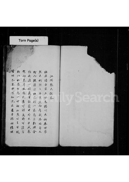 4802.江浙张氏家乘述余.pdf电子版预览图5