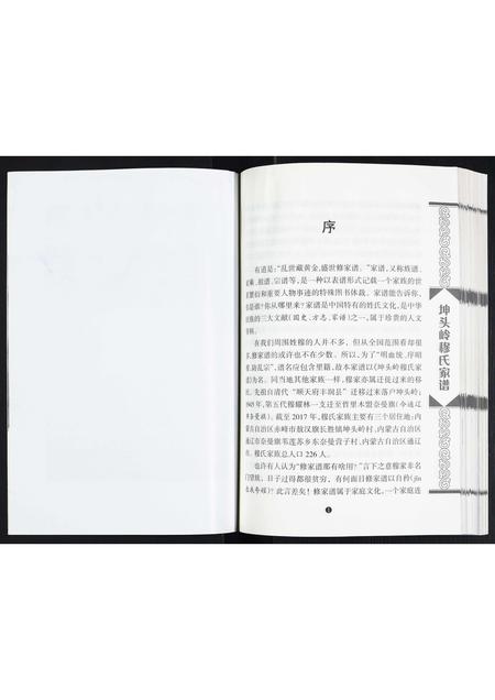 内蒙穆氏-穆氏家谱.pdf电子版预览图5