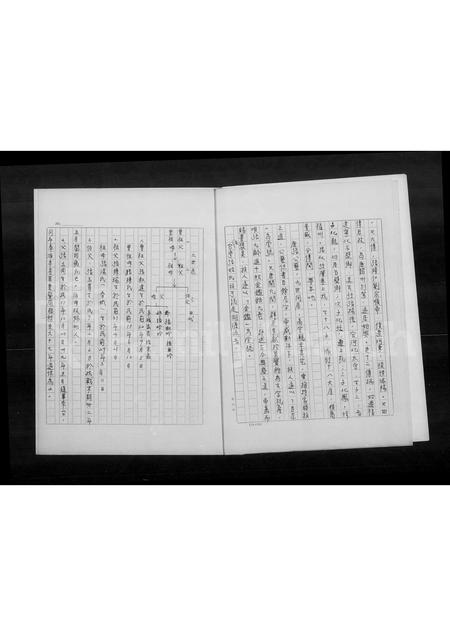 4826.张氏家谱.pdf电子版预览图3