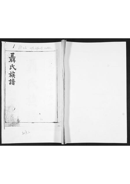 山东聂氏-聂氏族谱[不分卷].pdf电子版缩略图
