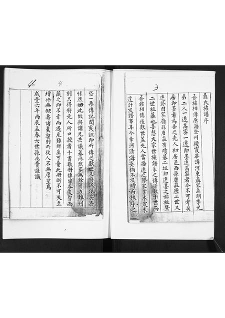 山东聂氏-聂氏族谱[不分卷].pdf电子版预览图2