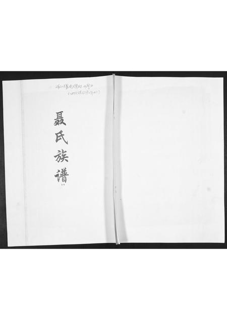山东聂氏-聂氏族谱[不分卷].pdf电子版缩略图