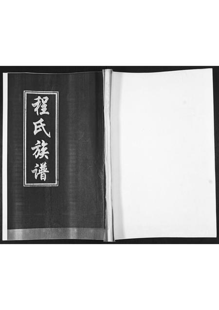 山东聂氏-聂氏族谱[不分卷].pdf电子版缩略图