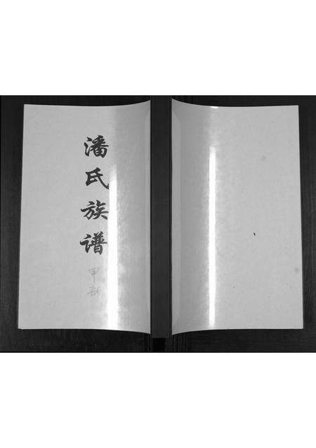 山东潘氏-潘氏族谱[2部].pdf电子版缩略图