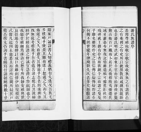 山东潘氏-潘氏族谱[4卷].pdf电子版预览图2