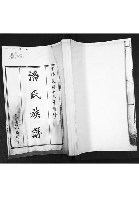 山东潘氏-潘氏族谱[不分卷].pdf电子版缩略图