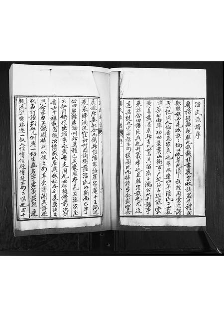 山东潘氏-潘氏族谱[不分卷].pdf电子版预览图1