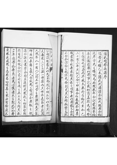 山东潘氏-潘氏族谱[不分卷].pdf电子版预览图3